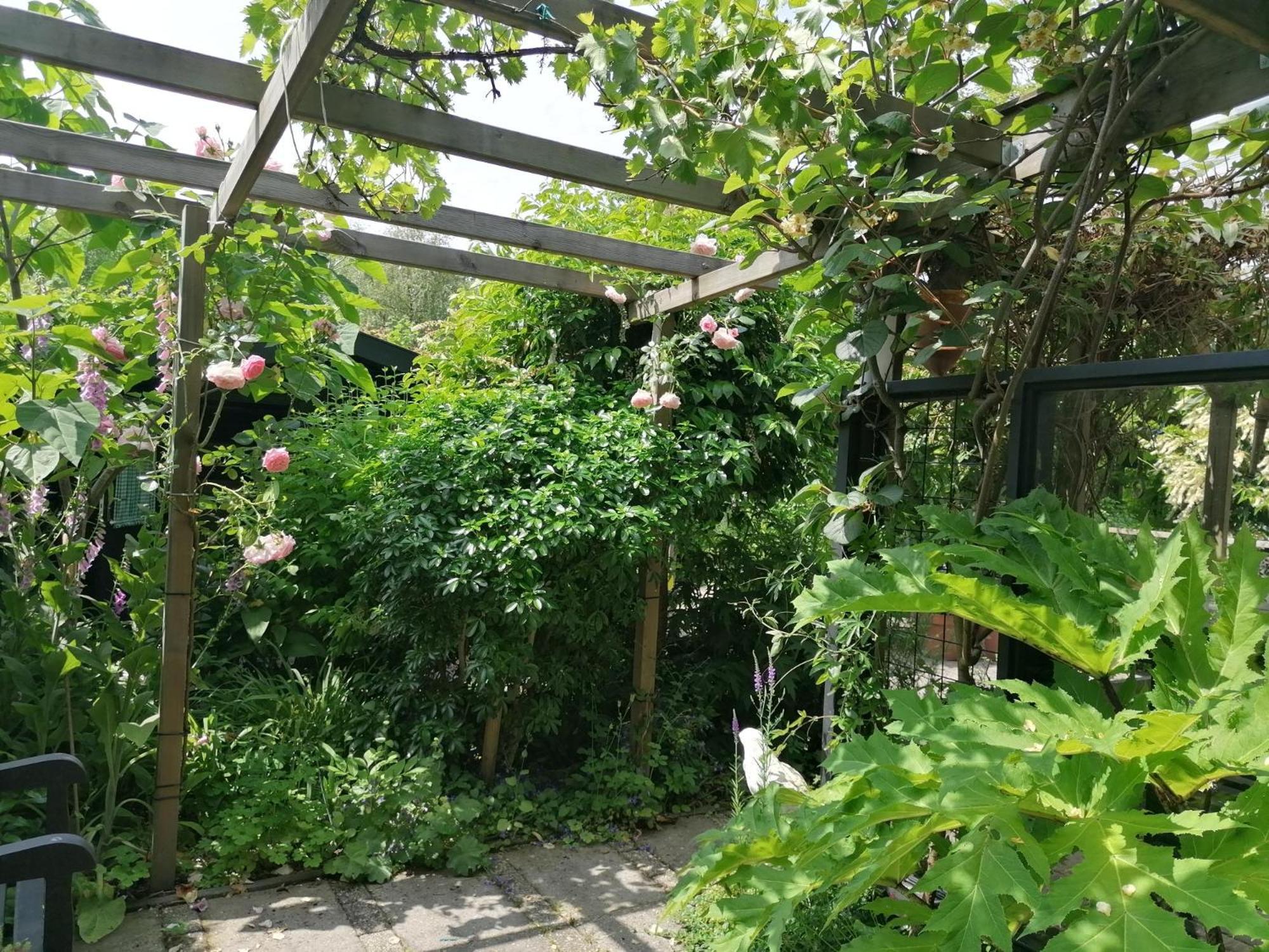 De Groene Specht Heinkenszand Extérieur photo